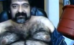 Big Hairy Bear And Hairy Body