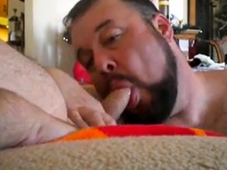 Bear Cock Sucker