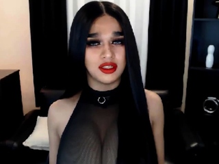 Lovely Shemale Rubs Her Dick Hard
