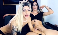 Tiny small tits shemale gets stuffed