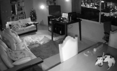 Amateur couple hidden cam