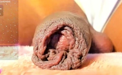 Amateur Solo Shemale Masturbation