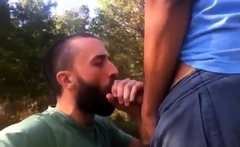 Big Cock Blowjob Outside